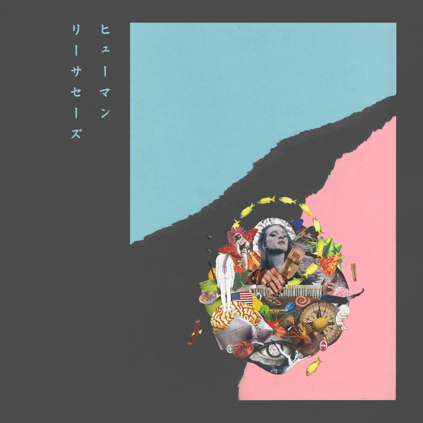 Champagne cover